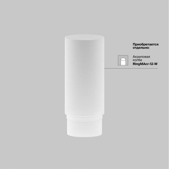 Светильник на штанге Maytoni Technical Focus LED TR032-4-12WTW-M-DSZ-B