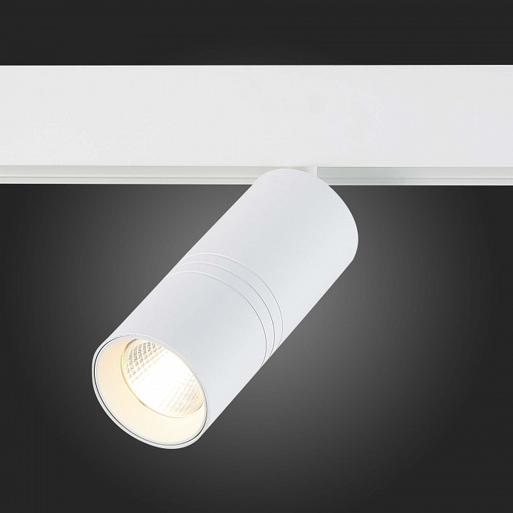 Светильник на штанге ST-Luce Lemmi ST365.536.18