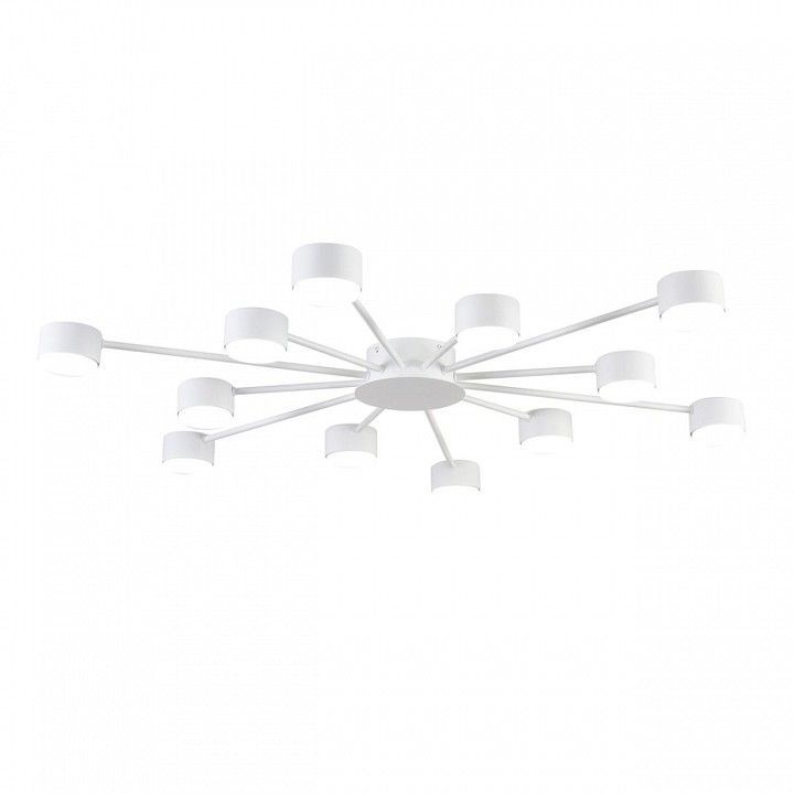 Потолочная люстра Lumion TORINA 8343/12C