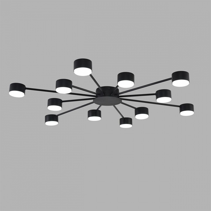 Потолочная люстра Lumion TORINA 8344/12C