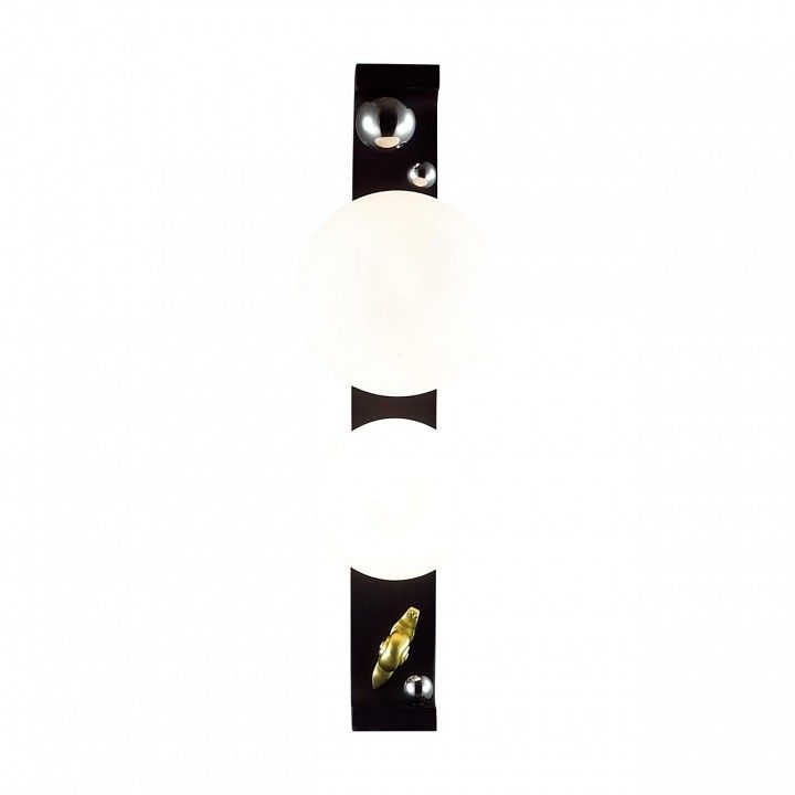 Накладной светильник Odeon Light NATURE 5434/2W