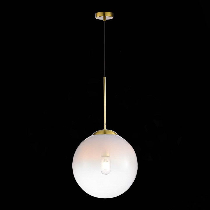 Подвесной светильник ST-Luce Cassius SL1190.213.01