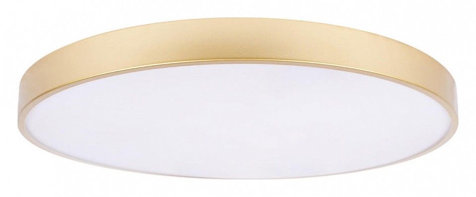 Накладной светильник Loft it Flims 10228/B