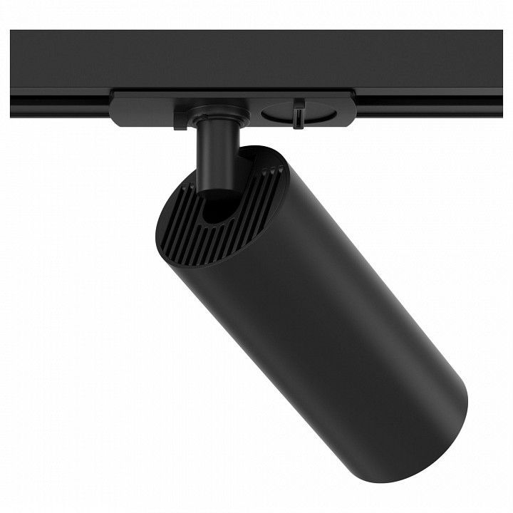 Светильник на штанге Maytoni Technical Фокус TR021-1-12B4K
