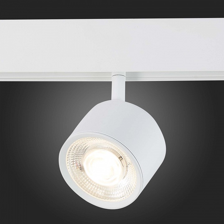 Светильник на штанге ST-Luce Vedo ST353.546.06