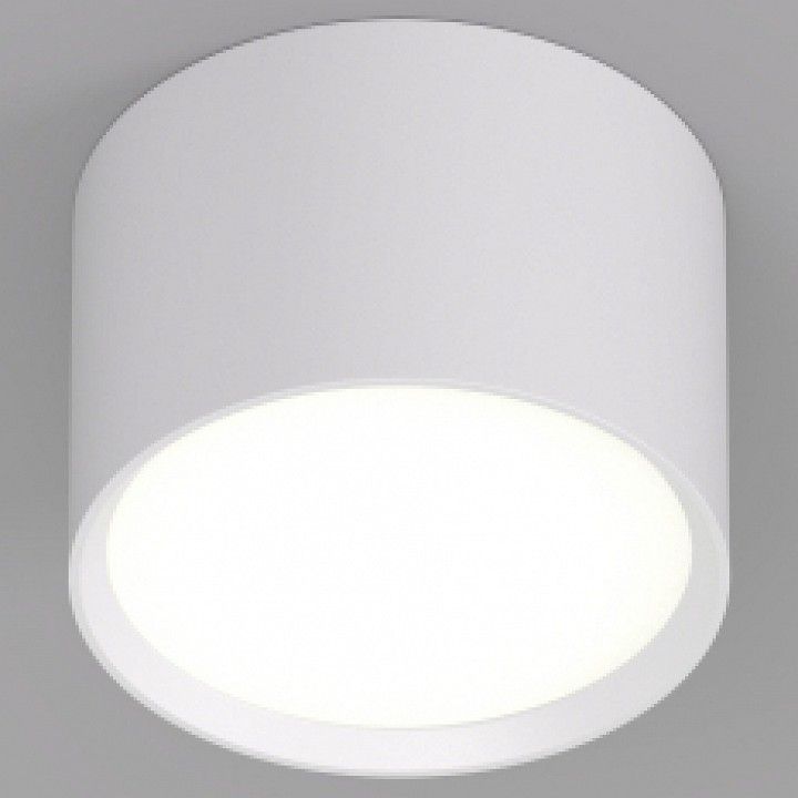 Накладной светильник Denkirs LUND DK2601-WH