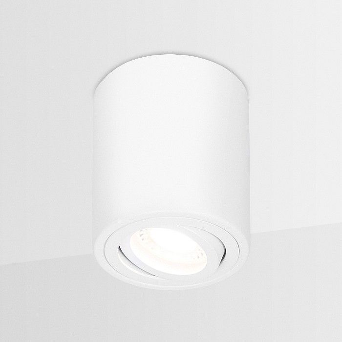 Накладной светильник Ambrella Light TN TN225