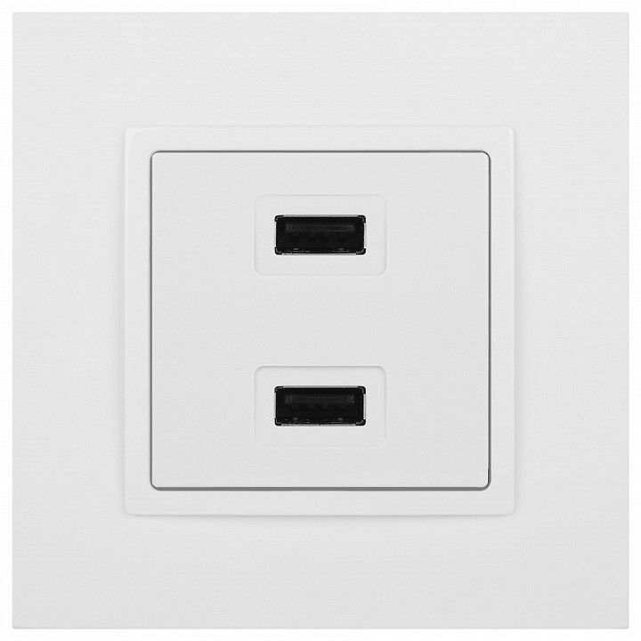 Розетка 2хUSB type A без рамки Эра Эра Elegance 14-4110-01