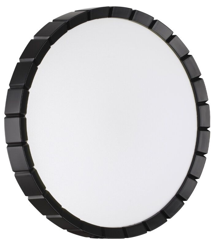 Накладной светильник Sonex PALE 7646/CLN
