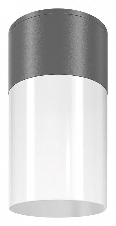 Накладной светильник Maytoni Уиллис O418CL-01GR