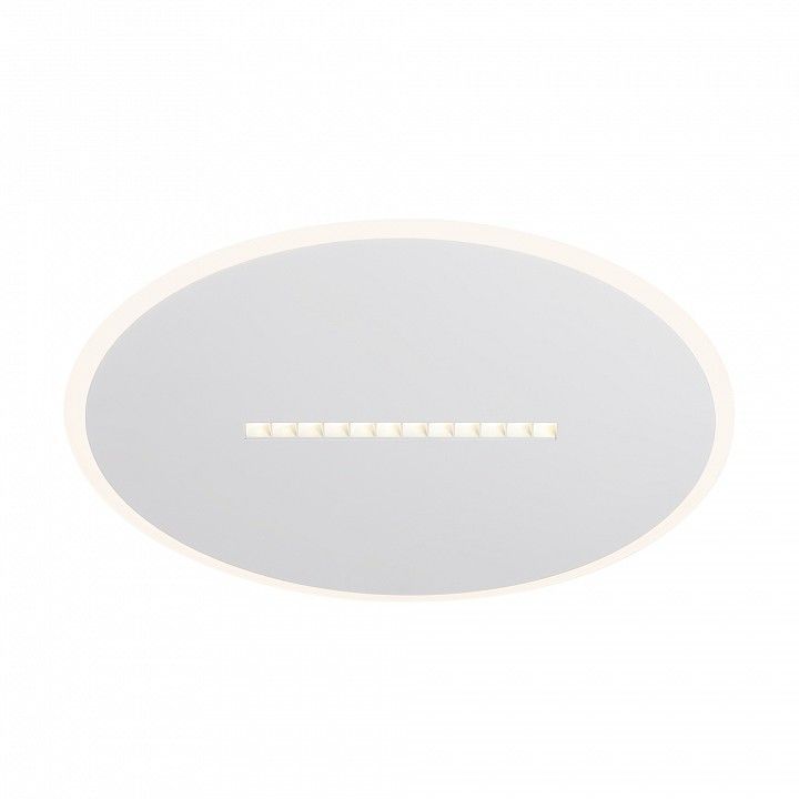 Накладной светильник Freya Shine FR6105CL-L73W
