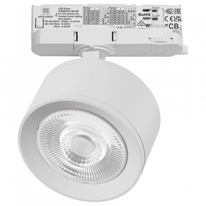 Светильник на штанге Lightstar Alta Pro A5546QT60G