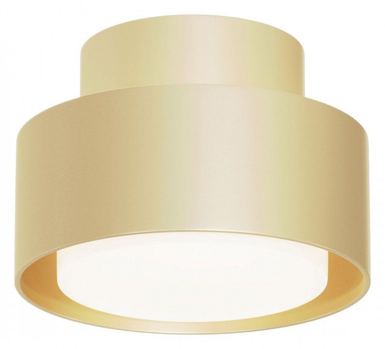Накладной светильник Maytoni Technical Космос C092CL-GX53-MG