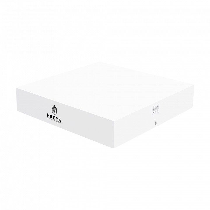 Накладной светильник Freya Frame FR6084CL-L82B