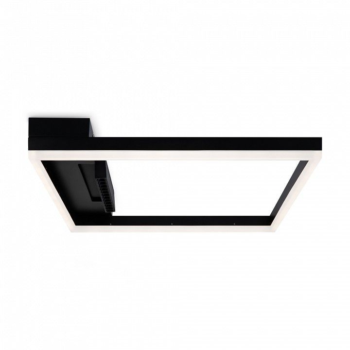 Накладной светильник Freya Frame FR6084CL-L82B