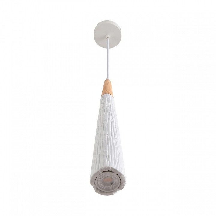 Подвесной светильник Lumion EOLIANA 8352/1C