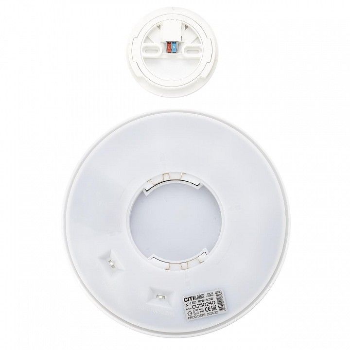 Накладной светильник Citilux Etalon CL750240