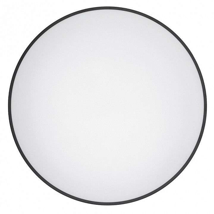 Накладной светильник Nowodvorski Agnes Round Led Pro 10975