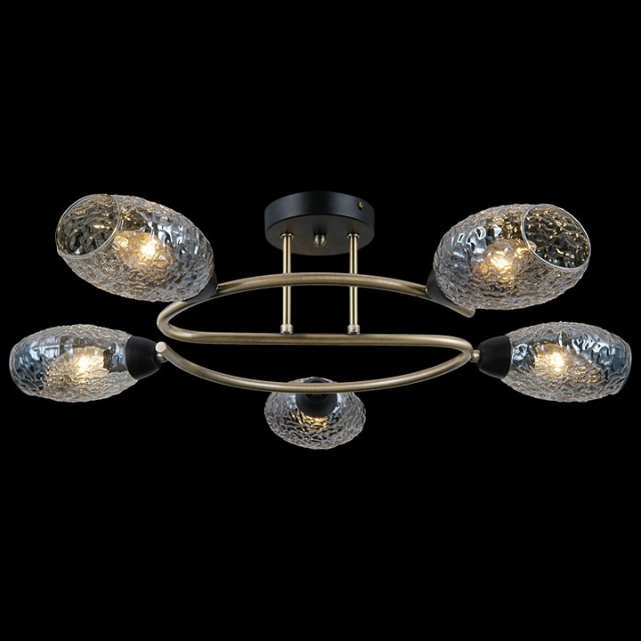 Потолочная люстра ILLUMICO  IL0300-5CSQ-79 BK AB