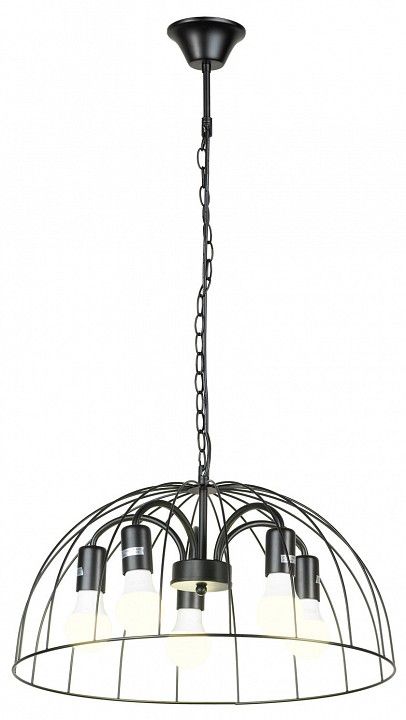 Подвесная люстра Lussole Lattice 1 GRLSP-8216