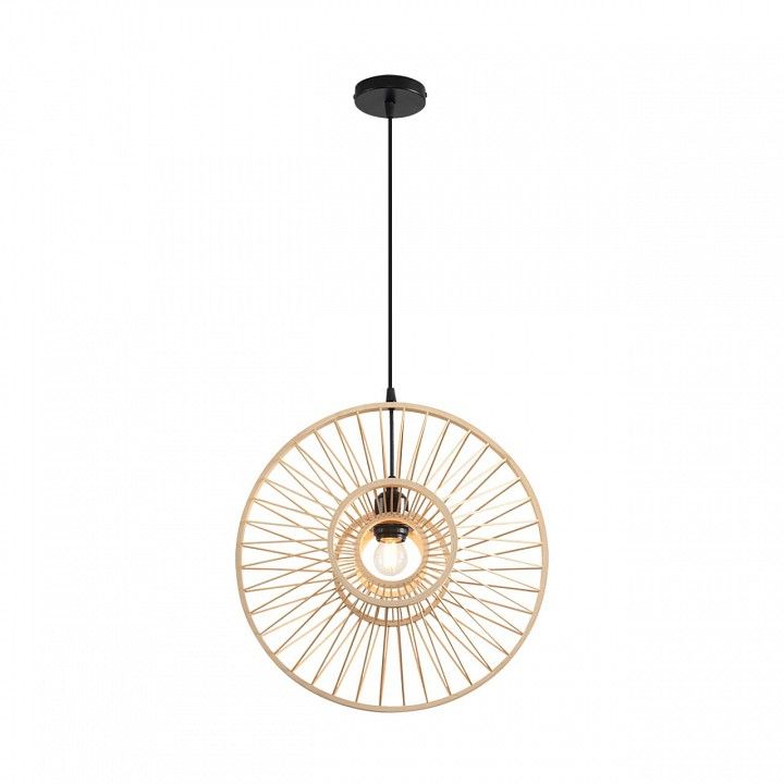 Подвесной светильник Lumion ECO 8383/1