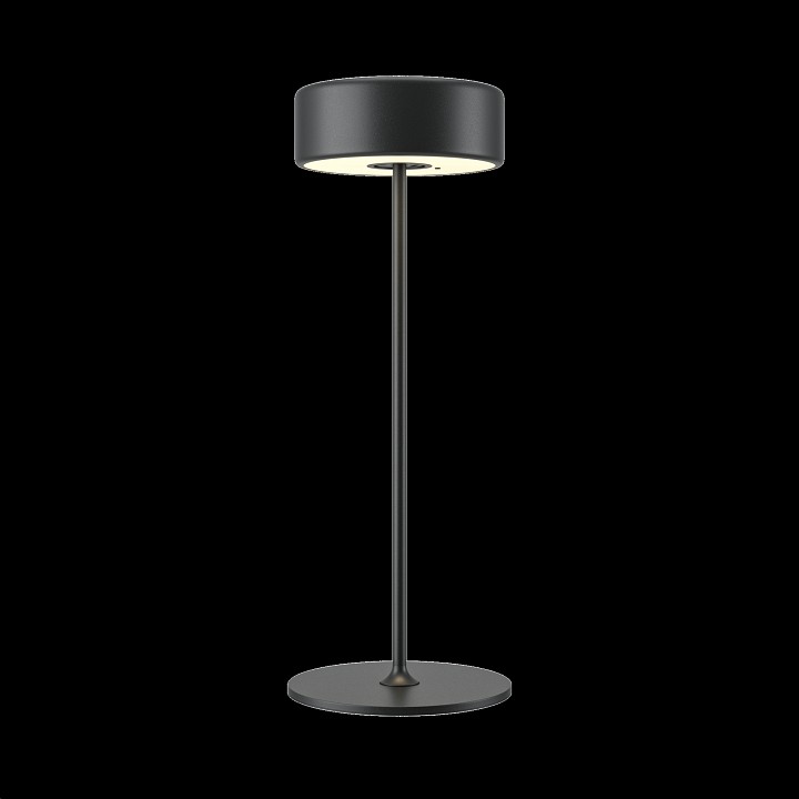 Настольная лампа декоративная Maytoni AI Collaboration MOD229TL-L3B3K2