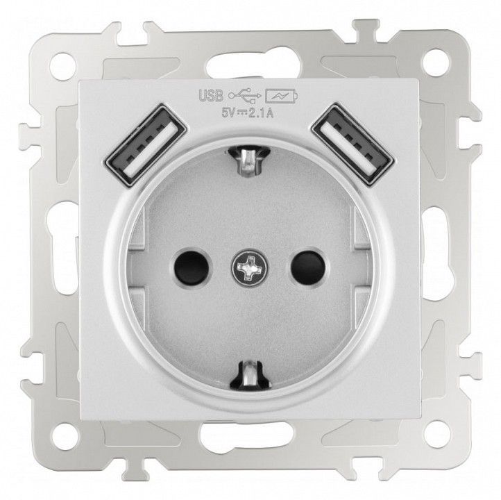 Розетка с заземлением и со шторкой и 2хUSB, без рамки Arte Milano am-206 206.47-1.silver
