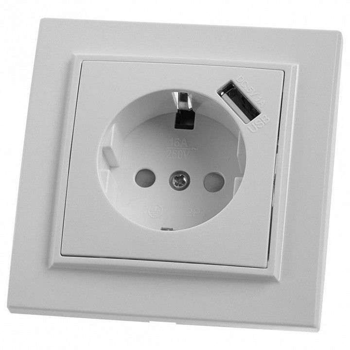 Розетка с заземлением и со шторкой и USB Stekker Эрна 39051