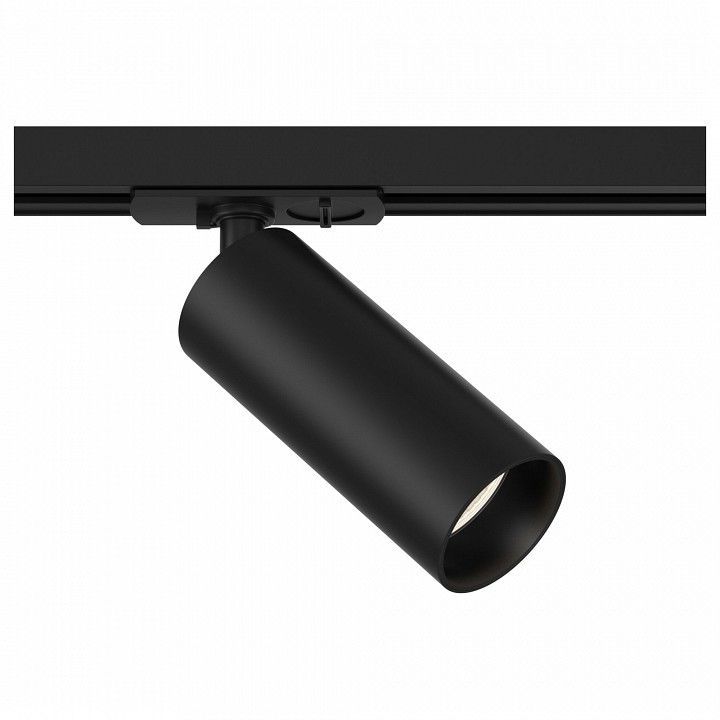 Светильник на штанге Maytoni Technical Фокус TR021-1-12B4K