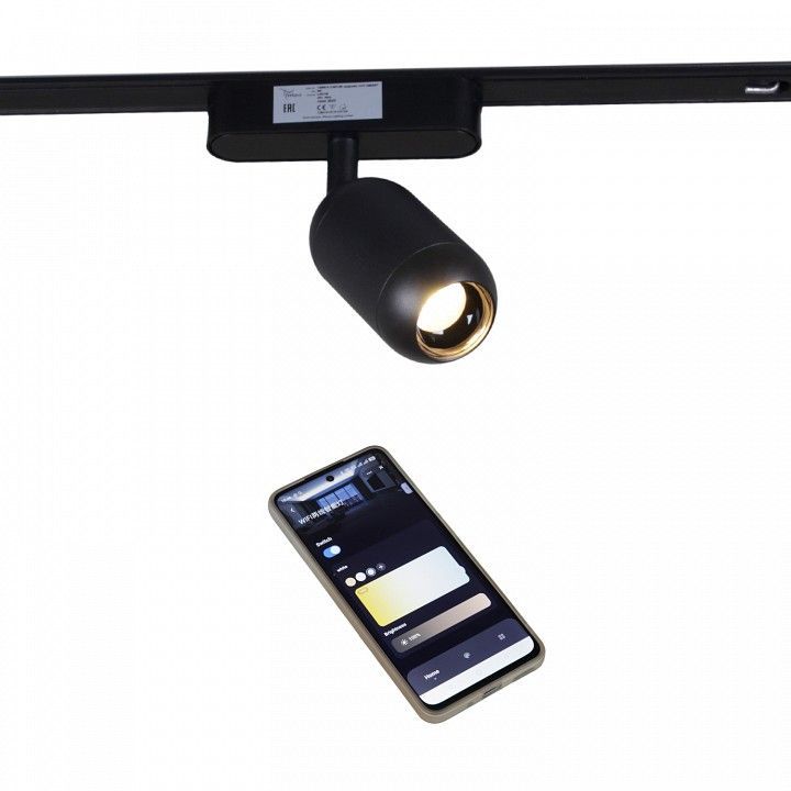 Светильник на штанге Reluce 13009 13009-9.3-001UR magnetic Led7W BK CCT+SMART