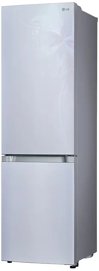Холодильник LG GA-B 489 TGDF