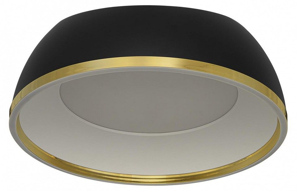 Накладной светильник Citilux FLOOM CL736151