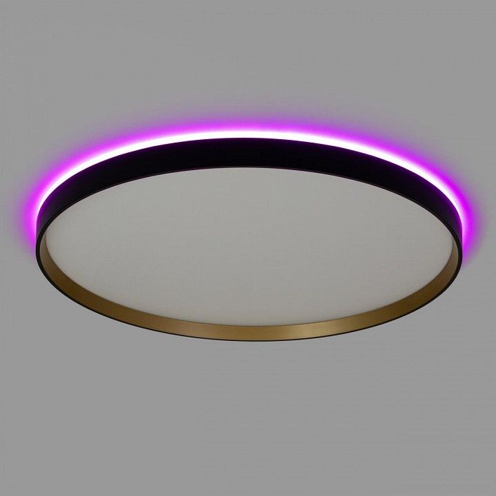 Накладной светильник Citilux ETALON CL750501R