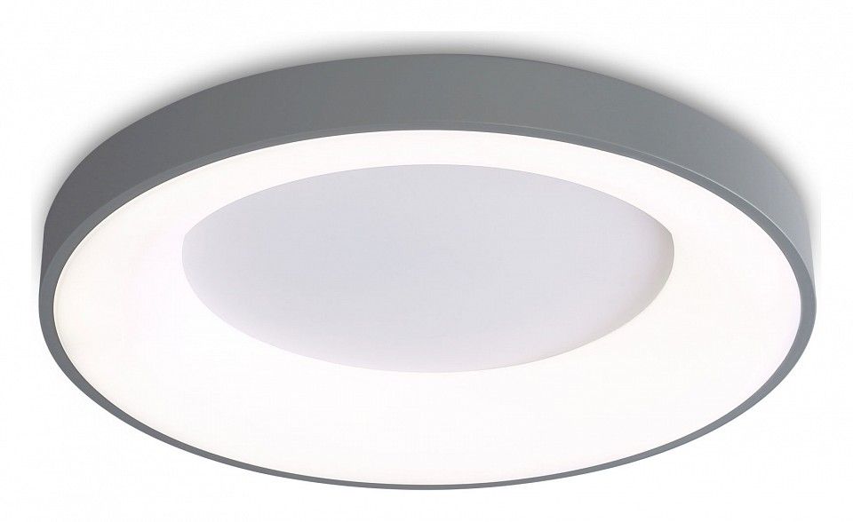 Накладной светильник Ambrella Light FZ FZ1402