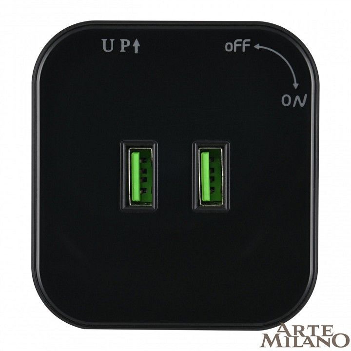 Розетка 2xUSB на треке Arte Milano Am-track-sockets 380022TS/USBx2 Black