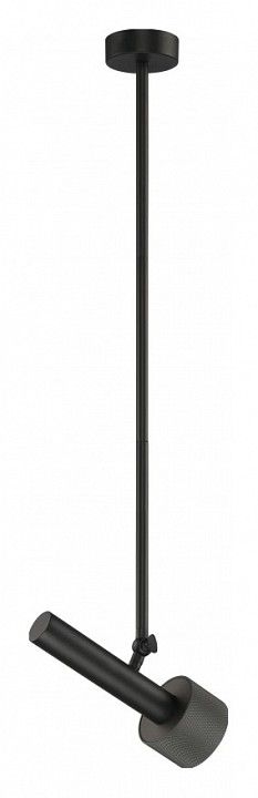 Светильник на штанге iLedex Technical Delta 2361-1 BK+GRP