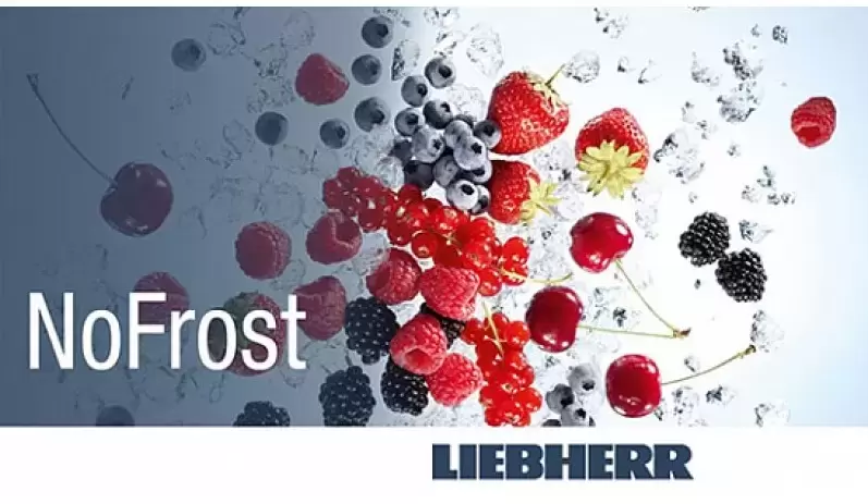 Холодильник Liebherr SBSes 8773