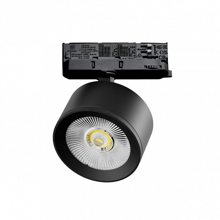Светильник на штанге Lightstar Alta Pro A5547QT