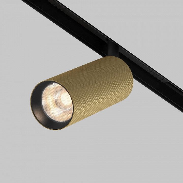Светильник на штанге Maytoni Technical Мастер TR097-2-12W3K-M-BMG