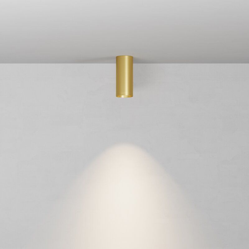 Накладной светильник Maytoni Technical  C010CL-01MG-N
