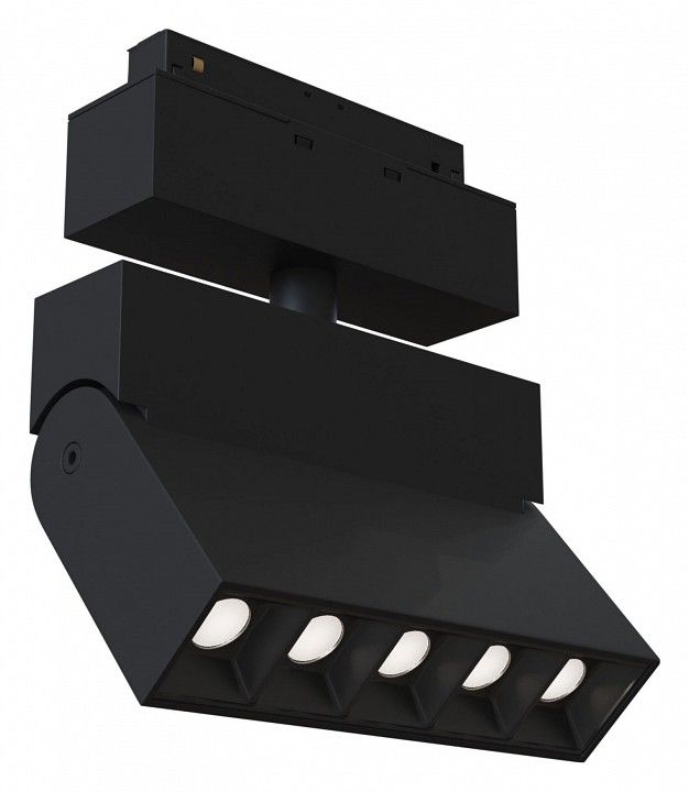 Светильник на штанге Maytoni Technical Points Rot TR015-2-10W3K-B