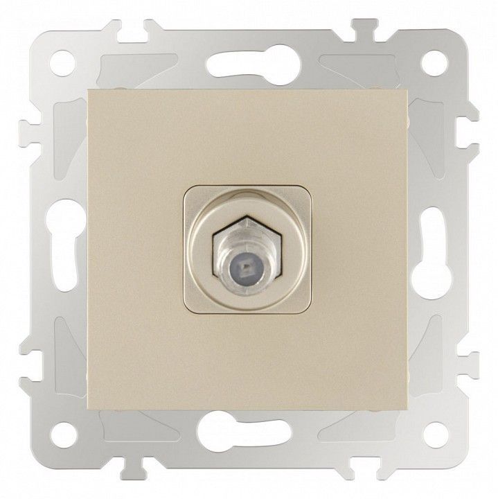 ТВ-розетка без рамки Arte Milano am-203 203.42-1.shampan