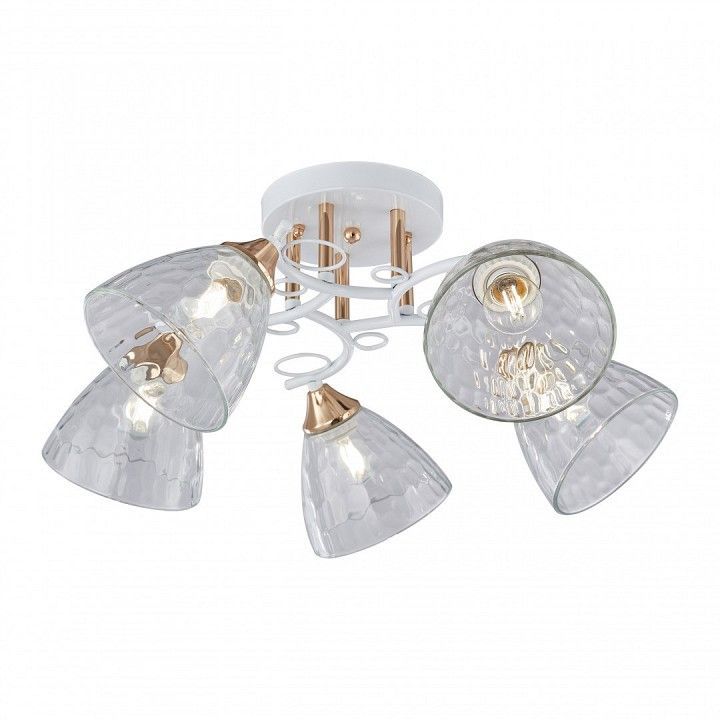 Потолочная люстра Arte Milano AMALFI-321395 321395/5A WH+FG