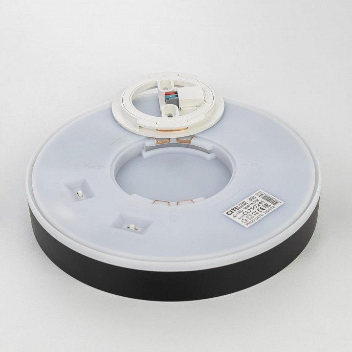 Накладной светильник Citilux Etalon CL750241