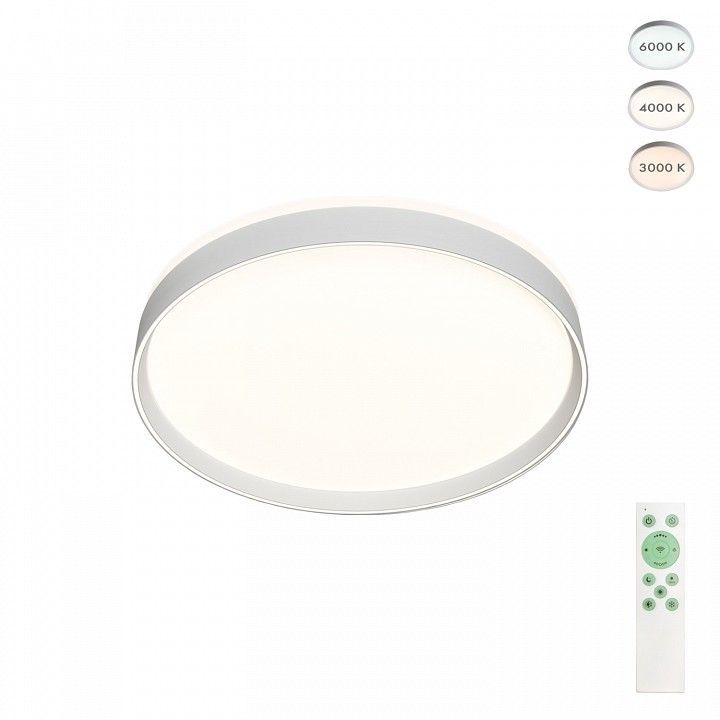 Накладной светильник Denkirs PLATO DK6511-WH