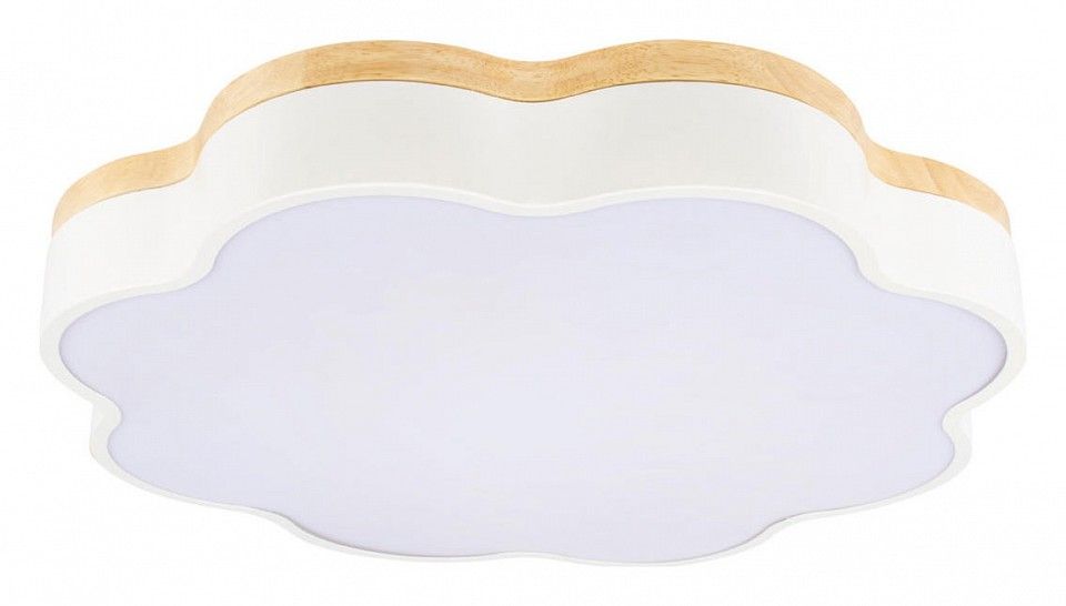 Накладной светильник Loft it Axel 10225/36 White