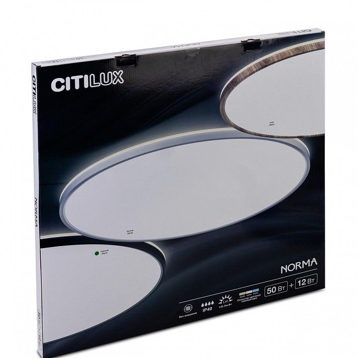 Накладной светильник Citilux Norma CL748601
