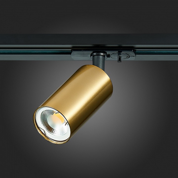 Светильник на штанге ST-Luce ST300 ST300.206.01