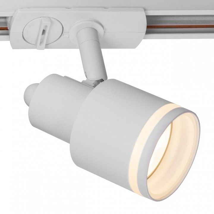 Светильник на штанге Citilux Bruno CL565T10