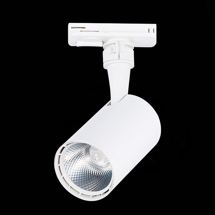 Светильник на штанге ST-Luce Cami ST351.536.10.24